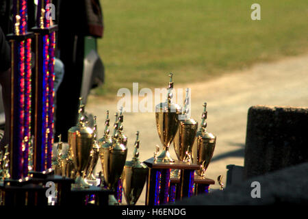 Trophies at school ceremony Stock Photo