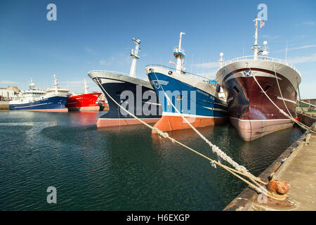 Trawlers at anchor in Fraserburgh Harbour Stock Photo
