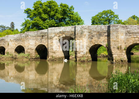 Swan passing under Stopham bridge crossing River Arun near Pulborough, Chichester, West Sussex, UK Stock Photo