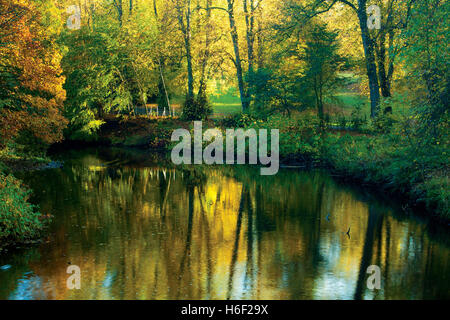 Autumn colours and the White Cart Water, Linn Park, Glasgow Stock Photo