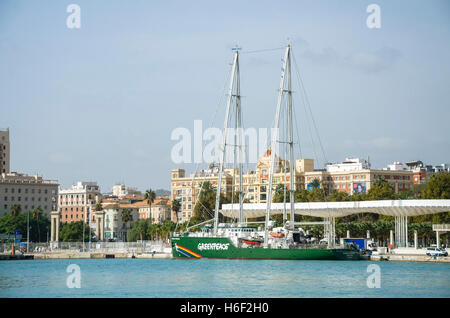 Greenpeace new Rainbow Warrior III Vessel moored in port of Malaga, Andalusia, Spain. Stock Photo