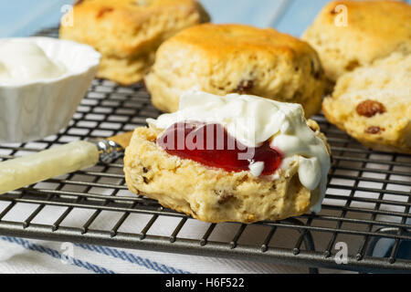 Close up of scones on cooling rack, one cut with strawberry jam and cream Stock Photo