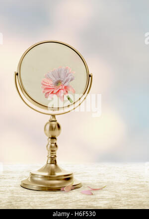 Fading beauty concept with fading flower in mirror Stock Photo