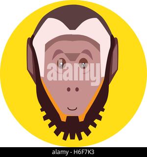 Capuchin Monkey Illustration Stock Vector
