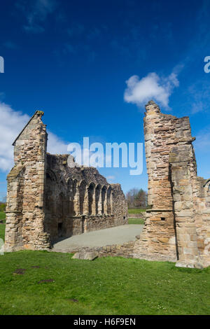 Basingwerk Abbey Greenfield Flintshire North Wales UK Stock Photo