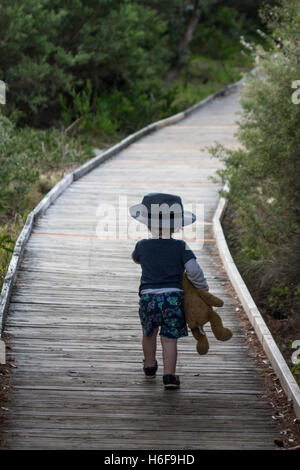 Two year old boy wearing hat carrying teddy bear walking on boardwalk through sand dunes with trees either side NSW Australia Stock Photo