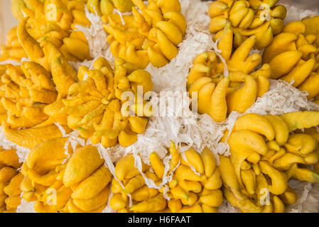 Buddha's hand fruit or fingered citron Stock Photo