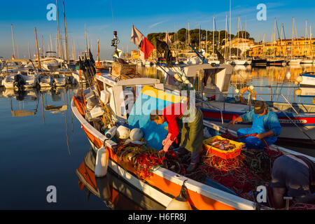 Fishing boats at fishing port, Marina, old harbour. Village of Sanary-sur-Mer. Var department, Provence Alpes Cote d'Azur France Stock Photo