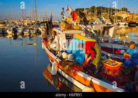 Fishing boats at fishing port, Marina, old harbour. Village of Sanary-sur-Mer. Var department, Provence Alpes Cote d'Azur France Stock Photo