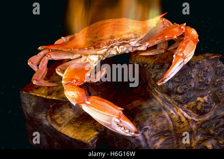 Cooked crab on fire. Stock Photo