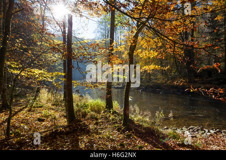 Fluss Ilz im Bayerischen Wald,River Ilz in the Bavarian Forest Stock Photo