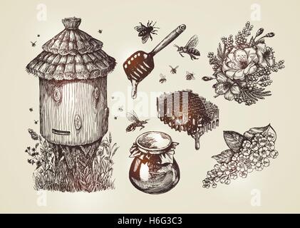 Hand drawn honey, beekeeping, bees. Collection sketch vector illustration Stock Vector