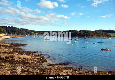 Late afternoon view from St Mawes towards Place House, St Anthony, Cellars Beach & Amsterdam Point, with yachts and small boats Stock Photo