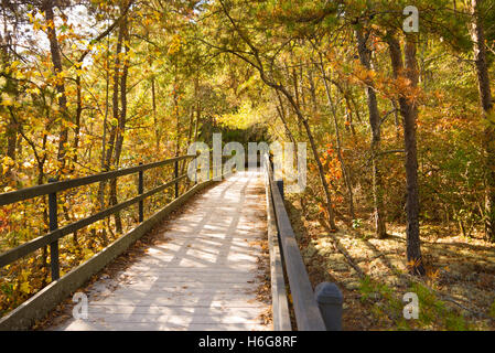 The boardwalk at Lilly Bluff overlook, Obed Wild and Scenic River Stock Photo