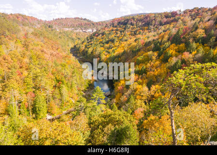 The view from the Lilly Bluff overlook at a river valley, Obed Wild and Scenic River Stock Photo