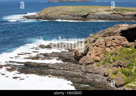 Admirals arch in flinders chase national park and the casuarina islets, Kangaroo island,south australia Stock Photo