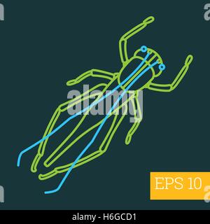 grasshopper insect outline vector Stock Vector