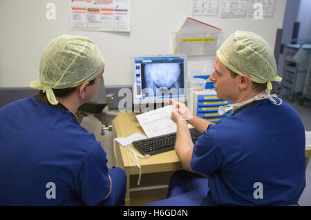 Two doctors discussing a patient X Ray on the screen showing a broken leg.They discuss images and notes on the mobile phone. Stock Photo