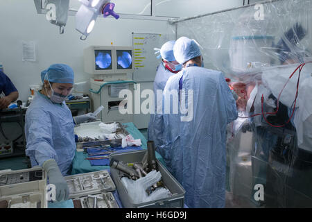 Medical staff in a hospital operating theatre during a hip replacement operation