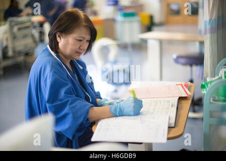 A nurse in a hospital ward makes notes in the patients logbook Stock Photo