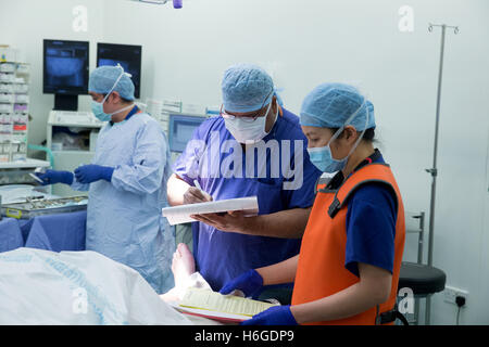 Medical staff in a hospital operating theatre during an operation checking the patients' records Stock Photo