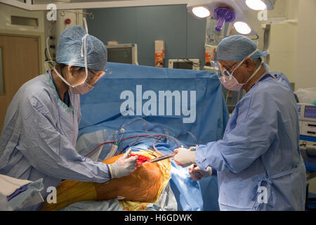 Total Hip replacement Operation in a Hospital theatre Stock Photo