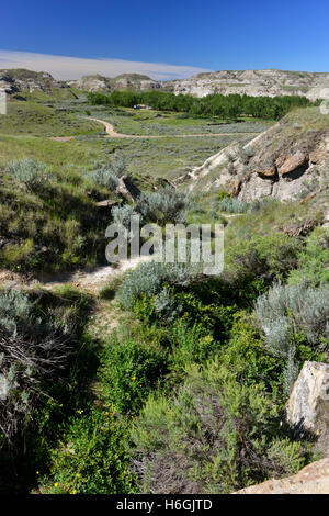 Dinosaur Provincial Park in an area known as the Badlands, Alberta, Canada. Stock Photo