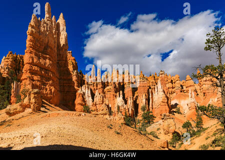 The majestic red rock spires along the Queens Garden Trail of Bryce Canyon National Park, Garfield County, Utah, USA Stock Photo