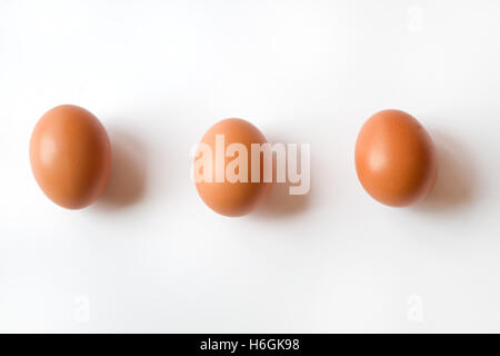 Three Fresh Organic Brown Eggs isolated on a White Background all lined up in a row Stock Photo