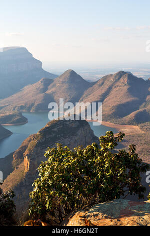 blur  in  south africa  blyde river canyon plant rock and pond water Stock Photo