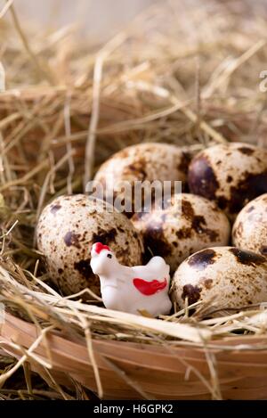 Vertical photo of toy plastic hen in front of several quail eggs which are placed on nice haystack from dried straws and inside  Stock Photo