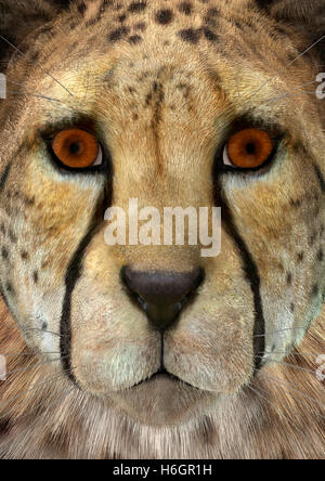 Premium Photo  Tiger closeup predator 3d rendering raster