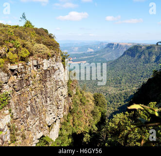 blur  in  south africa  blyde river canyon plant rock and pond water Stock Photo