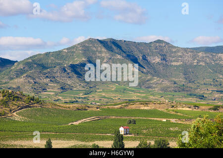 View on the vineyards of the Rioja Alta wine region near Haro, La Rioja, Spain Stock Photo