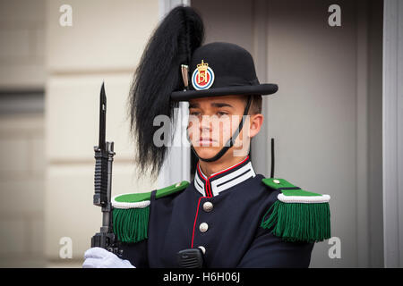 A soldier, one of the King’s guards, outside the Royal Palace, Oslo, Norway Stock Photo