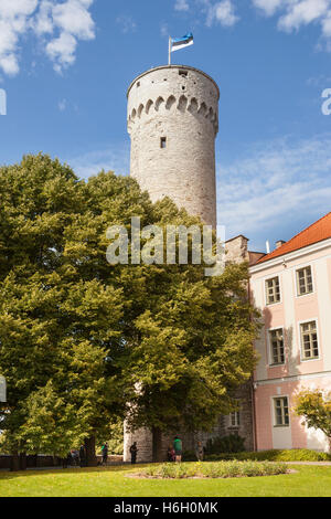 Pikk Hermann Tower, part of Toompea Castle, Old Town, Tallinn, Estonia Stock Photo