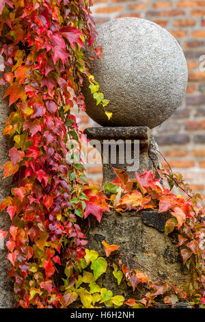 Prague Castle autumn still life, Prague Castle garden Prague Castle, Prague, Czech Republic Virginia creeper, gardens, leaves, turn red, Climber Stock Photo