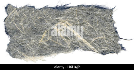 Texture of white & blue rice paper with torn edges. Isolated on white background. Scanned at 1600dpi using a professional scanne Stock Photo