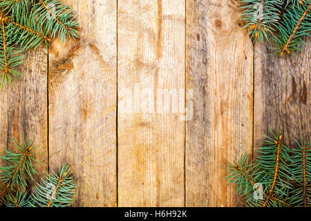 Furry Christmas tree branches with cones Stock Photo