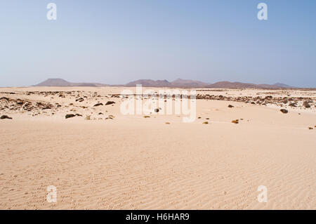 Fuerteventura: sand dunes national park in Corralejo Stock Photo