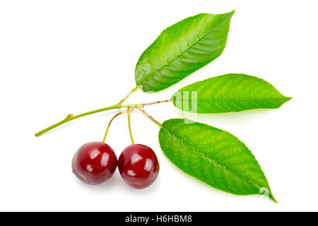 fruits of sweet cherry and fresh leaves isolated on white background Stock Photo