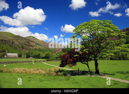 The setting for the grave of the legendary hound Gelert in a peaceful setting in Beddgelert Snowdonia North Wales UK Stock Photo