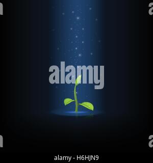 Glowing star dust falls from above on the green growing sprout with leaf and water drops. Stock Vector