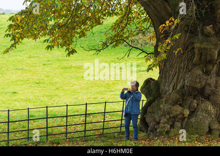 Woman standing by gnarled old tree to take a photo of the Autumnal scenery in October Stock Photo