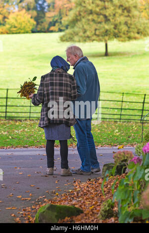 Elderly couple collecting Autumn leaves that have dropped in October Stock Photo