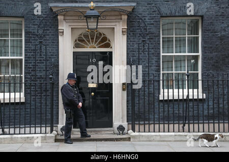 London , UK 29 October 2016 A Police man looks on as Larry the Downing Street cat walks past nummber 10 downing street. Stock Photo