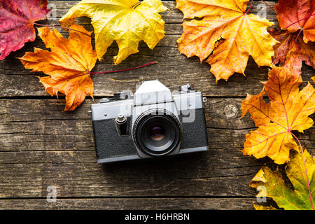 Vintage analogue photo camera and dry leaves on wooden background. Stock Photo