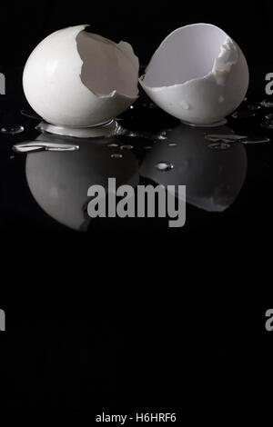 Cracked white egg shells isolated on black background with water drop and reflection. Stock Photo