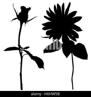Flower Silhouettes Stock Vector