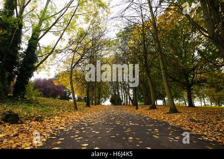Alexandra Palace, London, UK - 29 Oct 2016. The colours of autumn display in Alexandra Palace on the last day of British summertime. Credit:  Dinendra Haria/Alamy Live News Stock Photo
